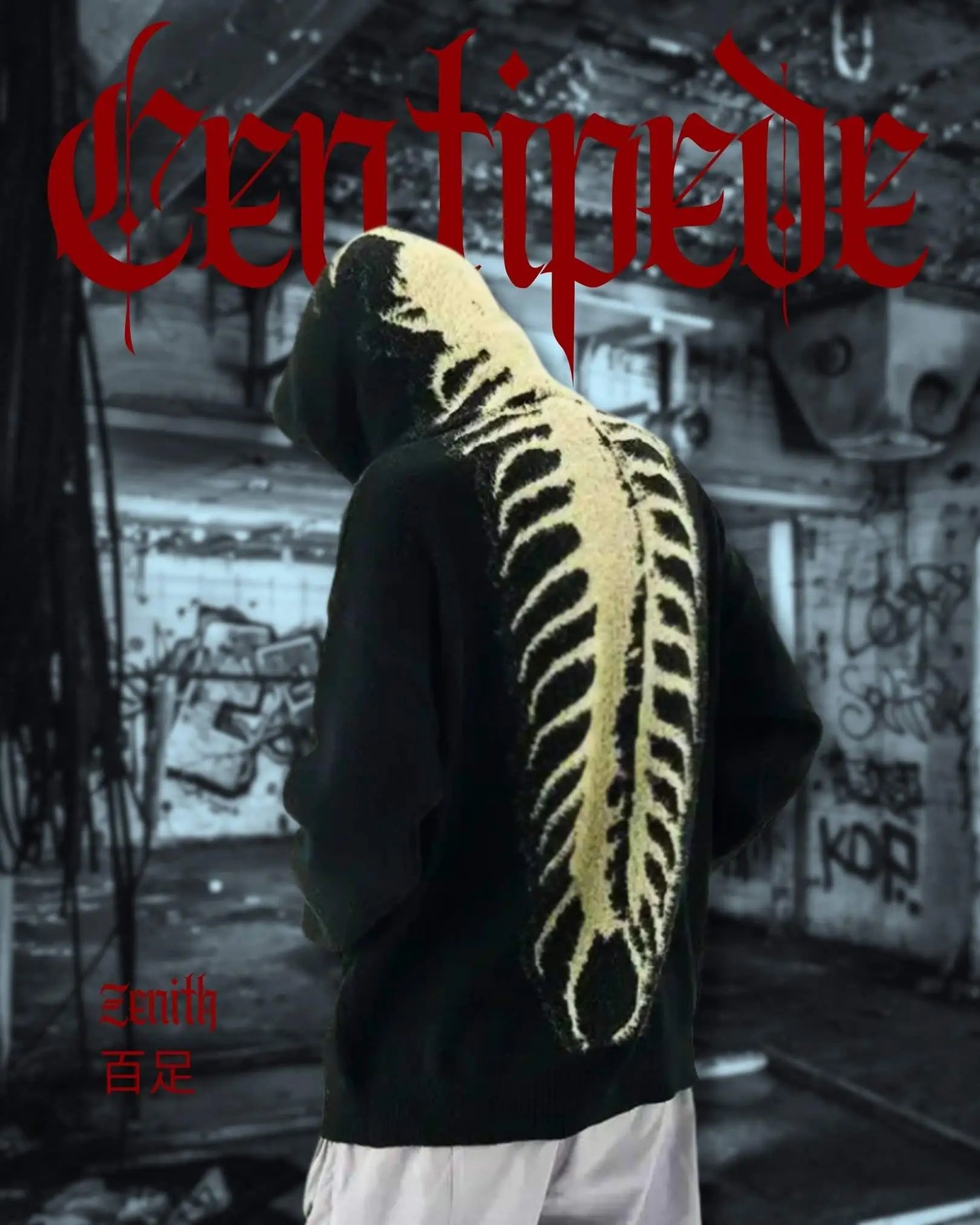 Centipede Embroidered Streetwear Hoodie