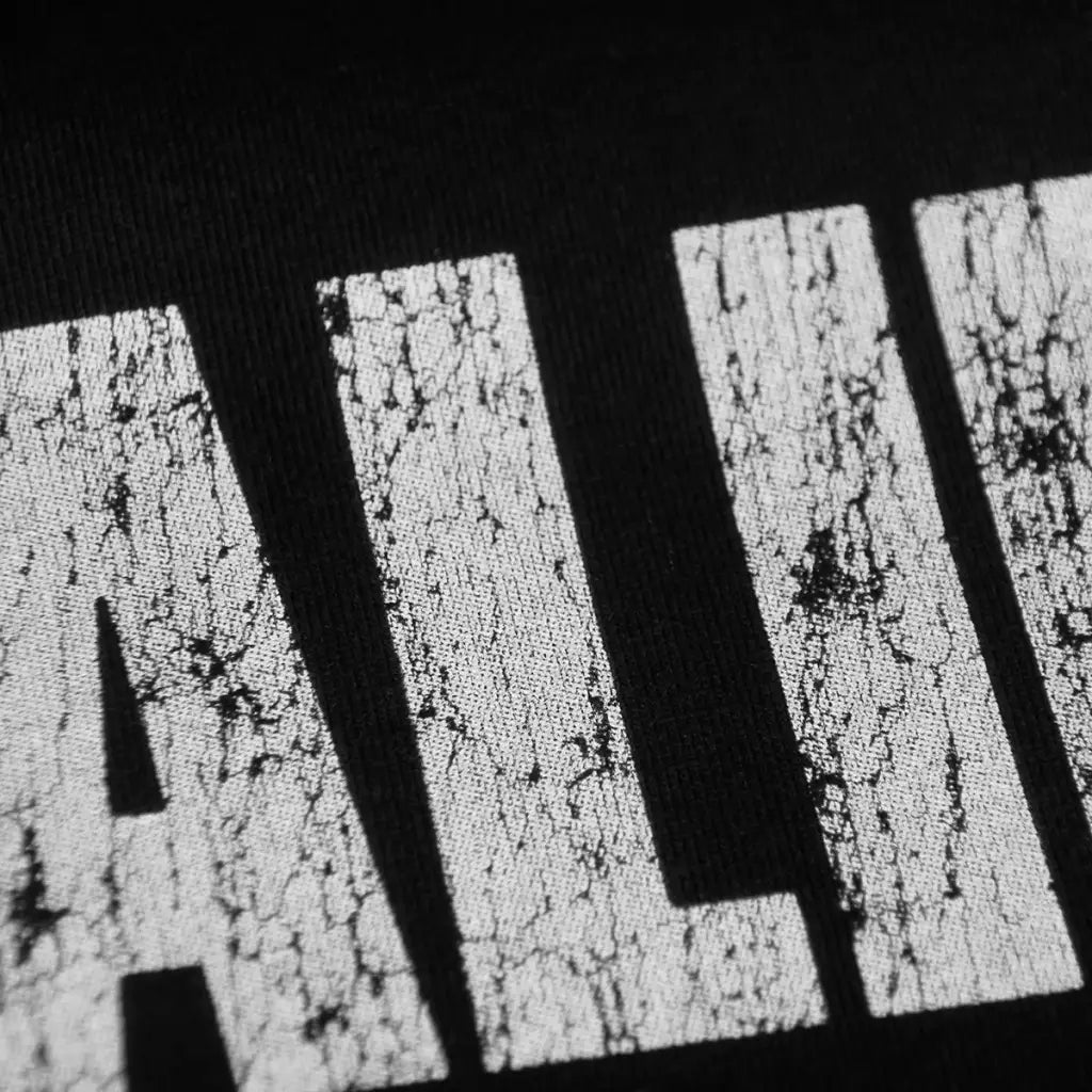The Stalin Band Tee Japanese Hardcore Punk Rock Graphic Shirt | Streetwear