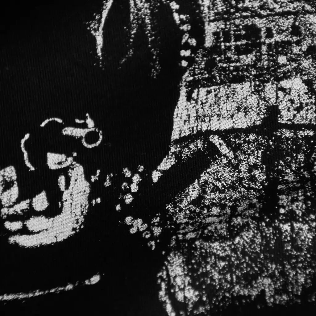 The Stalin Band Tee Japanese Hardcore Punk Rock Graphic Shirt | Streetwear